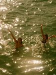 Actress Chloe Bennett Bikini Outting Pics